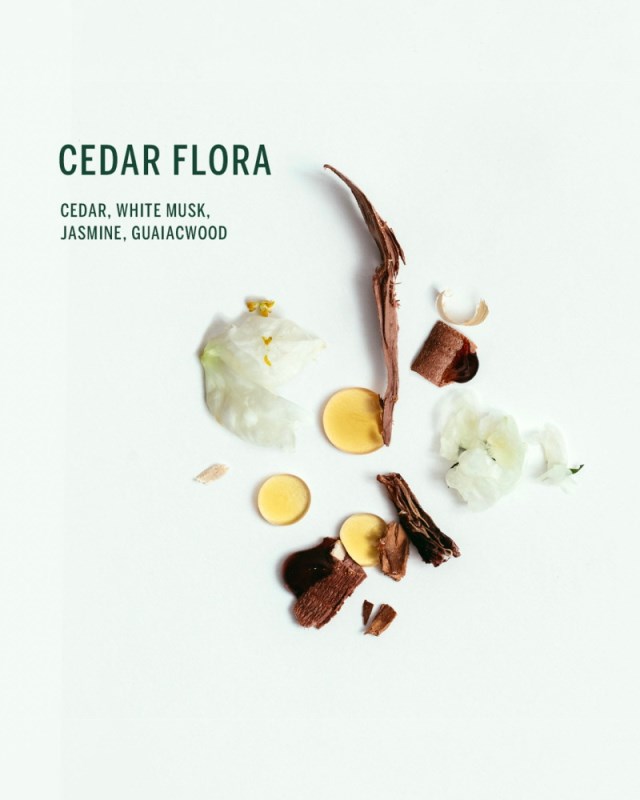 ボディリフレッシャーロールオン（CEDAR FLORA）